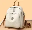 Modern Elegance Premium Carry Purse