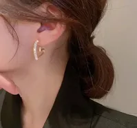 Trendy Crystal Hollow Big Heart Earrings