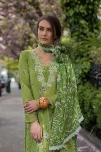 SOBIA NAZIR - Design 3A SN Basics 2025 UNSTITCHED 