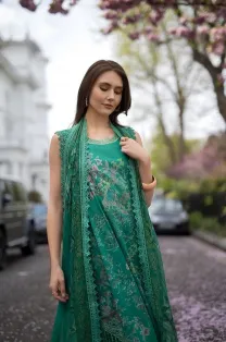 SOBIA NAZIR -Design 5B SN Basics 2025 UNSTITCHED 