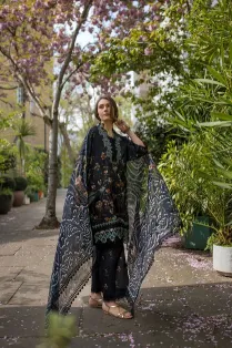 SOBIA NAZIR -  Design 3B SN Basics 2025 UNSTITCHED 