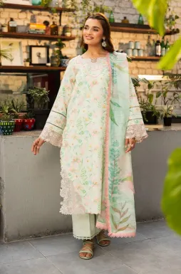 RANG RASIYA - Sage 