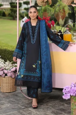 RANG RASIYA - Ushna