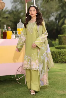 RANG RASIYA - Elysia 