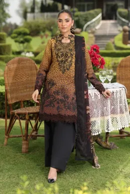 RANG RASIYA - Hooria 