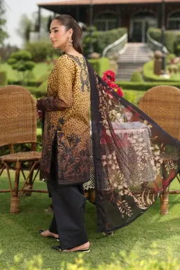 RANG RASIYA - Hooria 