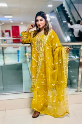 Pakistani Aghanoor Inspired Organza Collection
