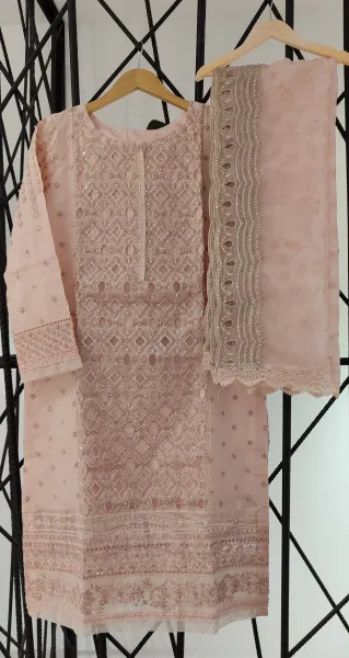 Pakistani Original HZ Luxury Formal Organza Stitched 3 Pcs _ Pink 