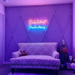 Brand New sofa cover 