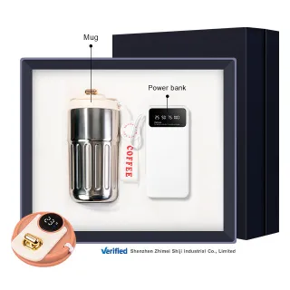 Mug & Power Pack Business Set