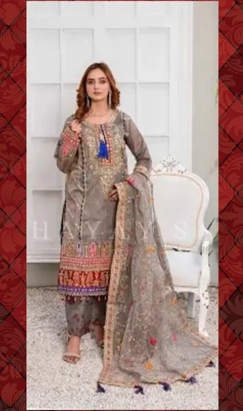 Pakistani Original Hayat's Luxury Organza Stitched 3Pcs _ Gray 