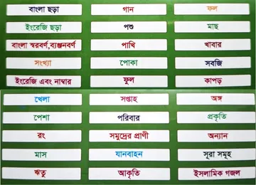 Early Education Device 165 Card English & Bangla 