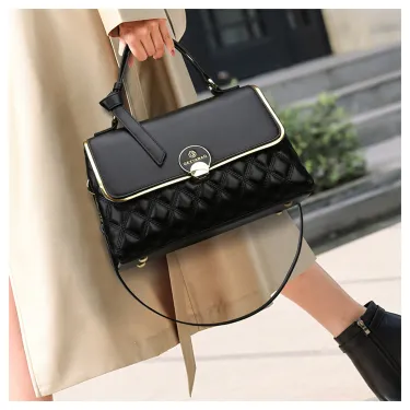 Pashli Ladies Handbags