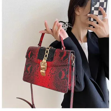 SMALL HANDBAG WITH CLASSY LOOK