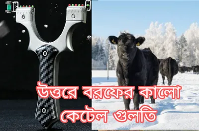 NORTHERN SNOW CATTLE SLINGSHOT উত্তরে বরফের কালো কেটেল গুলতি