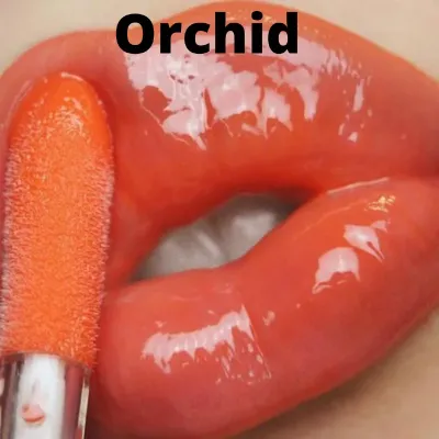 Orchid