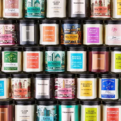 Bath & Body Works Single Wick Candle 