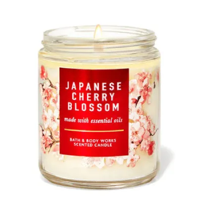 Japanese Cherry Blossom