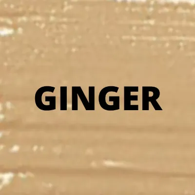 GINGER