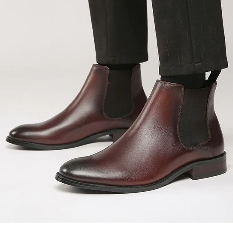 XENNO BROWN SPRINGERS