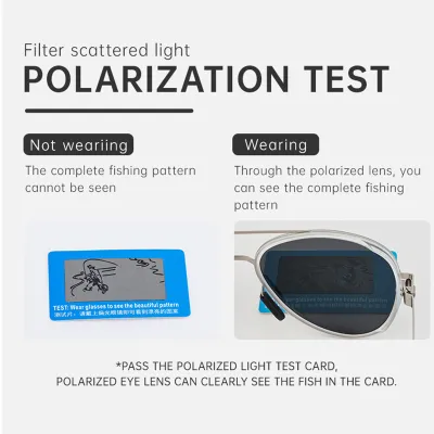 AMERICAN STYLE POLARIZED TOAD SUNGLASSES GB-ZTT012