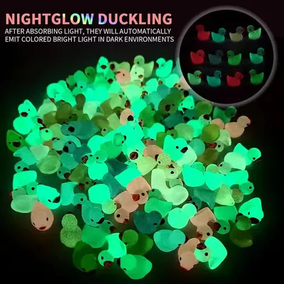 Mini Resin Glow at Night Ducks / Luminous Ducks Set  (10 Pc) 