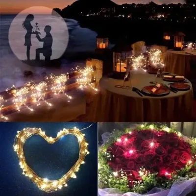Fairy String  LED Lights (1 Pc) 