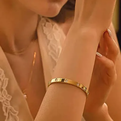 Titanium Stainless Steel Cubic Zirconia Bangle Bracelet