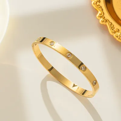 Titanium Stainless Steel Cubic Zirconia Bangle Bracelet