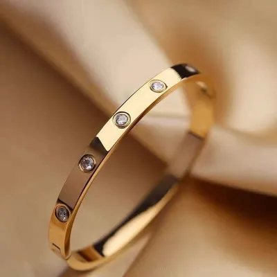 Titanium Stainless Steel Cubic Zirconia Bangle Bracelet