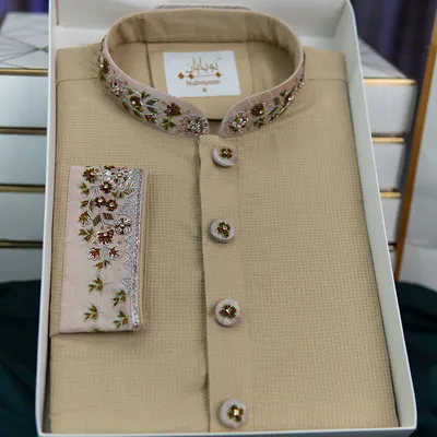 Birch Beige Zardozi Panjabi