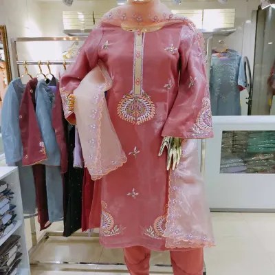 Onion Embroidered organza silk shalwar kameez