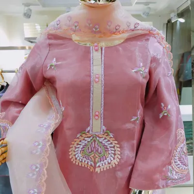 Onion Embroidered organza silk shalwar kameez