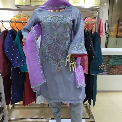 Ash Embroidered organza silk shalwar kameez
