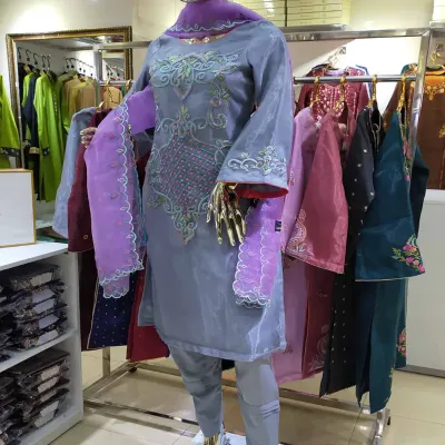 Ash Embroidered organza silk shalwar kameez