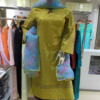 Chicken kari with pritned organza dupatta two piece