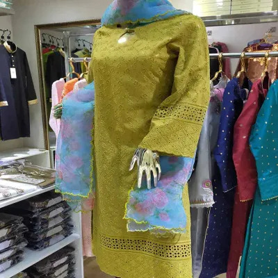 Chicken kari with pritned organza dupatta two piece