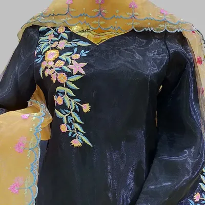 Black embroidered organza silk shalwar kameez