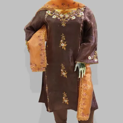 Coffee embroidered organza silk shalwar kameez
