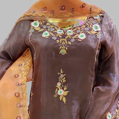 Coffee embroidered organza silk shalwar kameez
