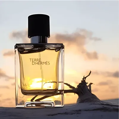 TERRE D’HERMES EDT 100 ML FOR MEN