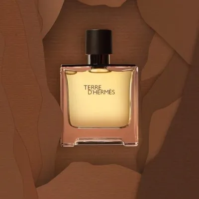 TERRE D’HERMES EDT 100 ML FOR MEN