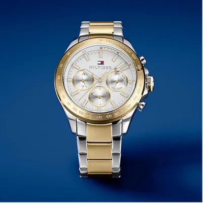 Tommy Hilfiger Hudson Quartz Silver Dial Men's Watch