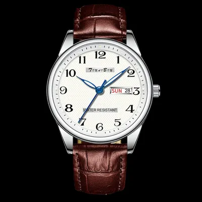 TINAIBIN 6650 Mechanical Men's Watch