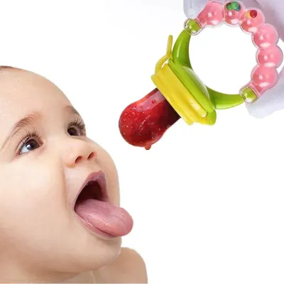 Baby Fruit Feeder Pacifier (1 Pc)
