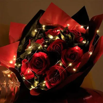 1 Pc LED String Fairy Lights 