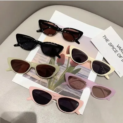 Women's Summer Fashion Cat Eye Frame Casual Sunglass