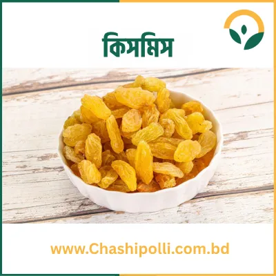 Raisins (কিসমিস)