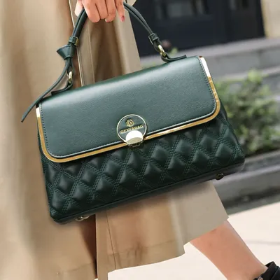 Pashli Ladies Handbags