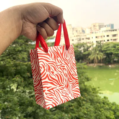 Zeba Mini Gift Bag